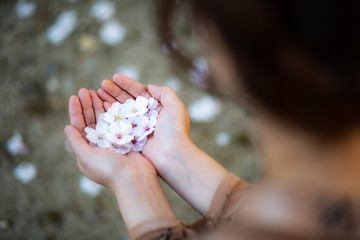 女性の手にのる花びら