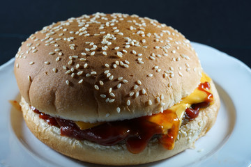 Delicious hamburger with cheese and ketchup prepared in the kitchen and photographed in the studio 