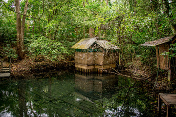 Fototapeta na wymiar casa en la selva entre pantanos y arboles verdes