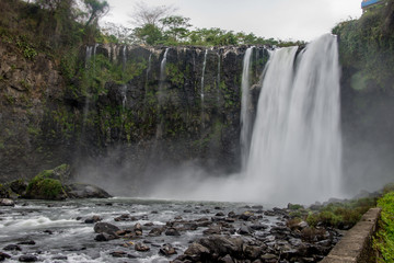 cascadas en la selva verde de Tabasco Mexico