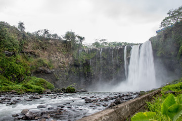 cascadas en la selva verde de Tabasco Mexico