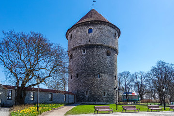 Fototapeta na wymiar Kiek in de Kok tower in Old Tallinn, Estonia