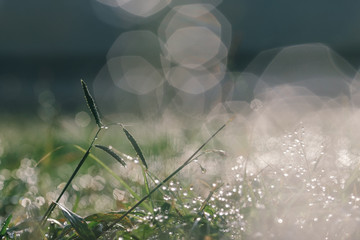 Blurred light background