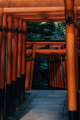 Red Torii gates in shrine in Tokyo, Japan