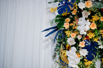 wedding flower decoration, flower backdrop background, rose wall, colorful background, fresh rose, bunch of flower