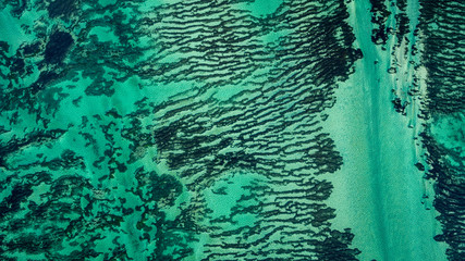 Vertical aerial drone view of seagrass meadows and headlands in the World Heritage Listed Shark Bay...