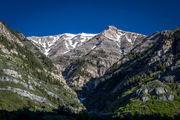 Fototapeta na wymiar Mountain Peak in the Summer