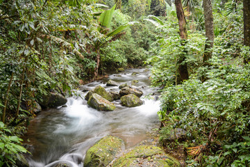 Obraz premium Parque nacional Barranca del Cupatitzio