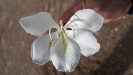 Nature in its most beautiful images