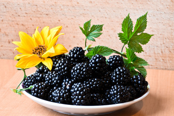 fresh blackberries in a bowl