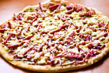 pizza with salami and cheese