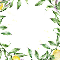 Fototapeta na wymiar frame with green leaves