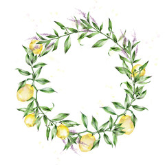 watercolor wreath of verbena and lemons on white background