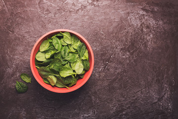 Washed fresh mini spinach in a bowl on the table. Copy space