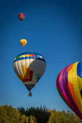 Fototapeta na wymiar Four Hot Air Balloons in a Line Flying at Different Altitudes