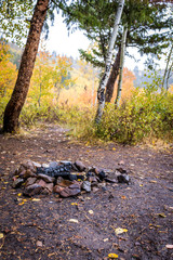 Fire Pit in a Golden Yellow Forest