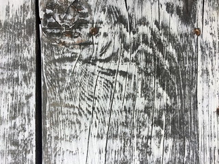 Grey and white old aged plank for interesting backgrounds. For web, print, blog, and creative ideas.