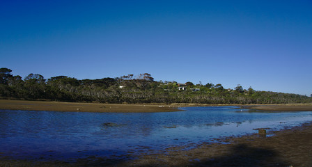 Swamp with blue water on sunny day