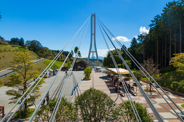 三島スカイウォーク　三島市の大吊橋