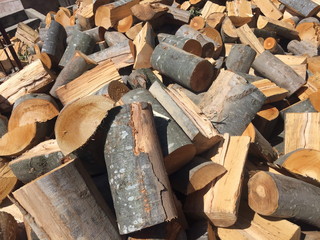Wood logs pile for interesting background ideas. 