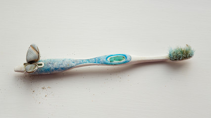 Toothbrush with goose barnacles found washed up during a beach clean