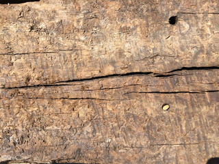 Grey and brown old aged plywood plank for interesting backgrounds. For web, print, blog, and creative ideas.