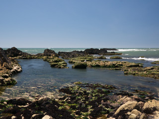 Obraz premium Rock pools on a beach in Northern Portugal on sunny day with blue sky and ocean in background.