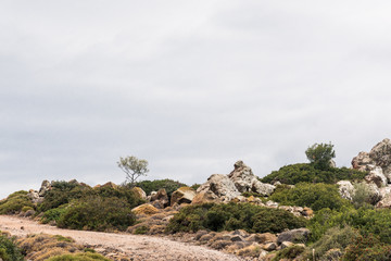 Small unpaved road