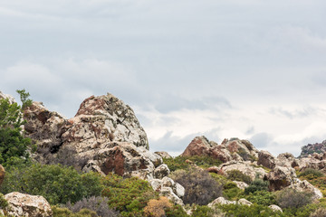Huge rocks and green bushes under rainy sky