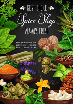 Spices and herbs, culinary herbal seasonings