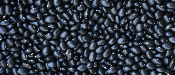 close up of black beans for background