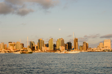 Fototapeta premium san diego skyline at sunset