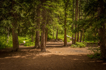 An area perfect for camping in the mountains