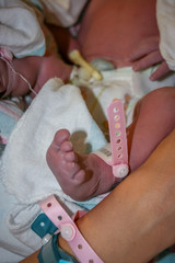 Newborn Baby in the Hospital