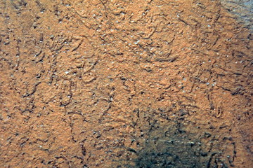 Background image of wall texture with vivid colors and detail. Suitable for interesting backgrounds .