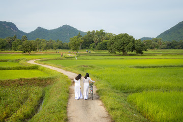 Fototapeta na wymiar Rural landscape in Vietnam countryside with Vietnamese women wearing traditional dress Ao Dai walking on rural road