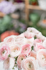 Ranunculus asiaticus or Persian Buttercup. Bunch of pastel pink blossom . Light gray background, glass vase. Wallpaper, flowers texture