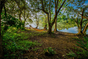 Nature wallpaper, landscape background (mountains, trees, swamps, mist) are beautiful, natural, pure atmosphere.