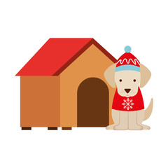 dog merry christmas card