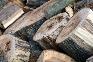 Wood logs pile for interesting background ideas. 