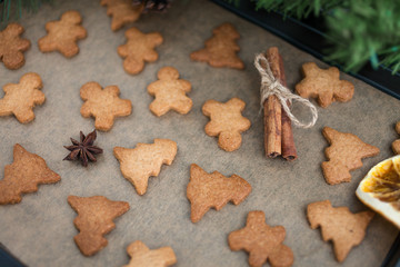 Fototapeta na wymiar Gingerbread cookies with spices. Gingerbread cookie man and Christmas trees. Festive Christmas baking. Winter background