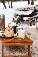 winter picnic in the forest