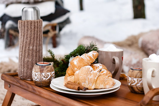 Winter Picnic In The Forest