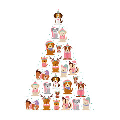 merry christmas card