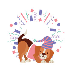 dog party celebration