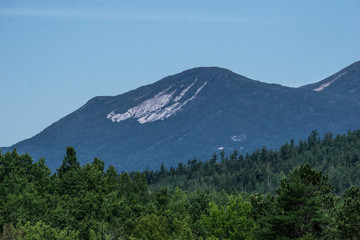 Camel In The Mountain