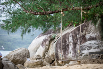 The background of the chair (a swing tied to a tree and a rope), built on the beach, allows the visitor to sit back or take a photo during the trip.