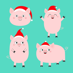 Pig piglet set. Santa hat. Cute cartoon funny baby character. Hog swine sow animal. Chinise symbol of 2019 new year. Zodiac sign. Flat design. Green background. Isolated.