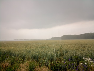 rain above the field