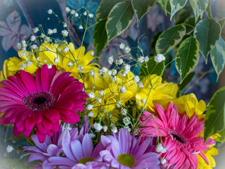 Beautiful bouquet of purple gerber and yellow flowers, macro bloom, valentine compliment